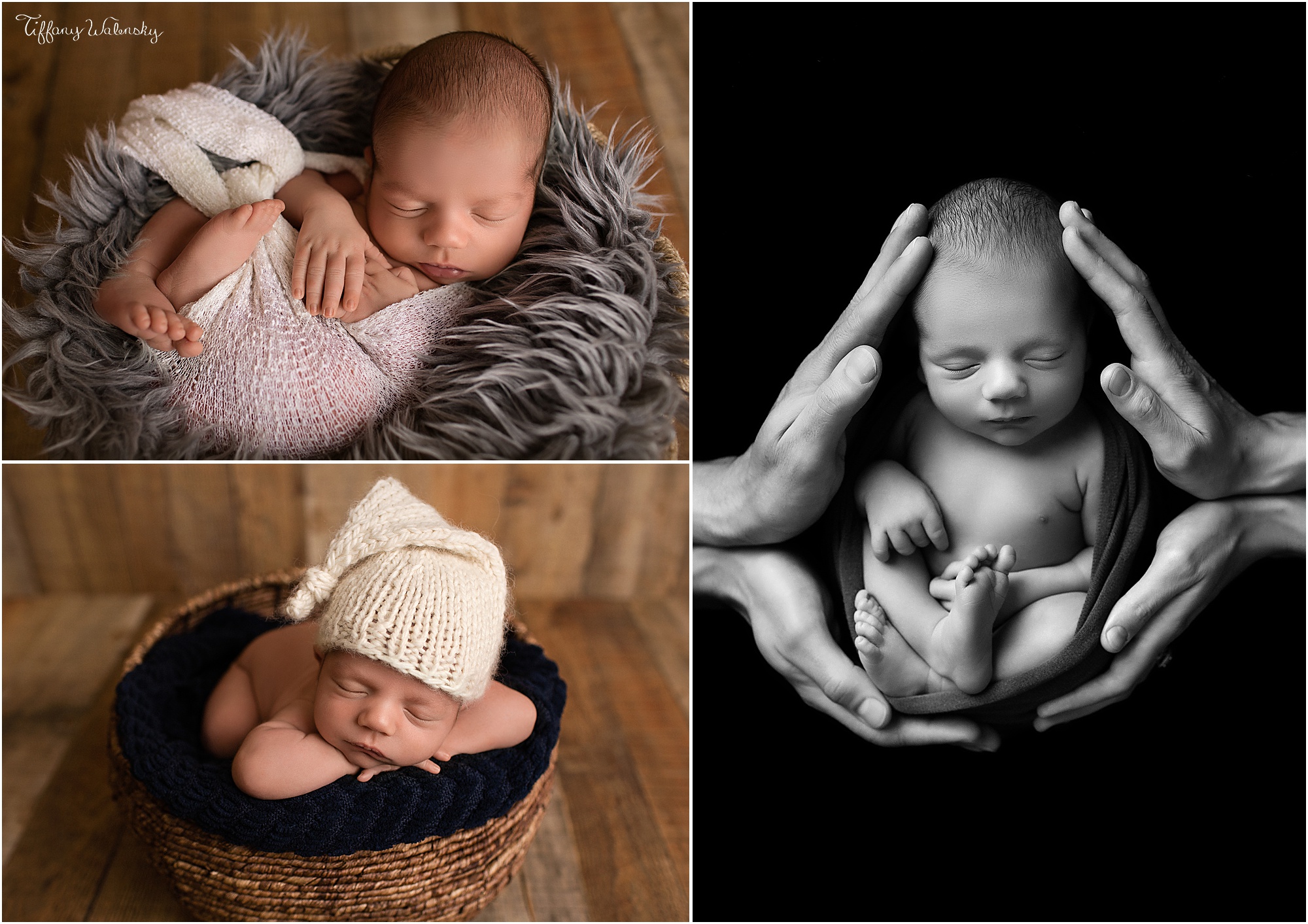 Spring Hill Newborn Photographer