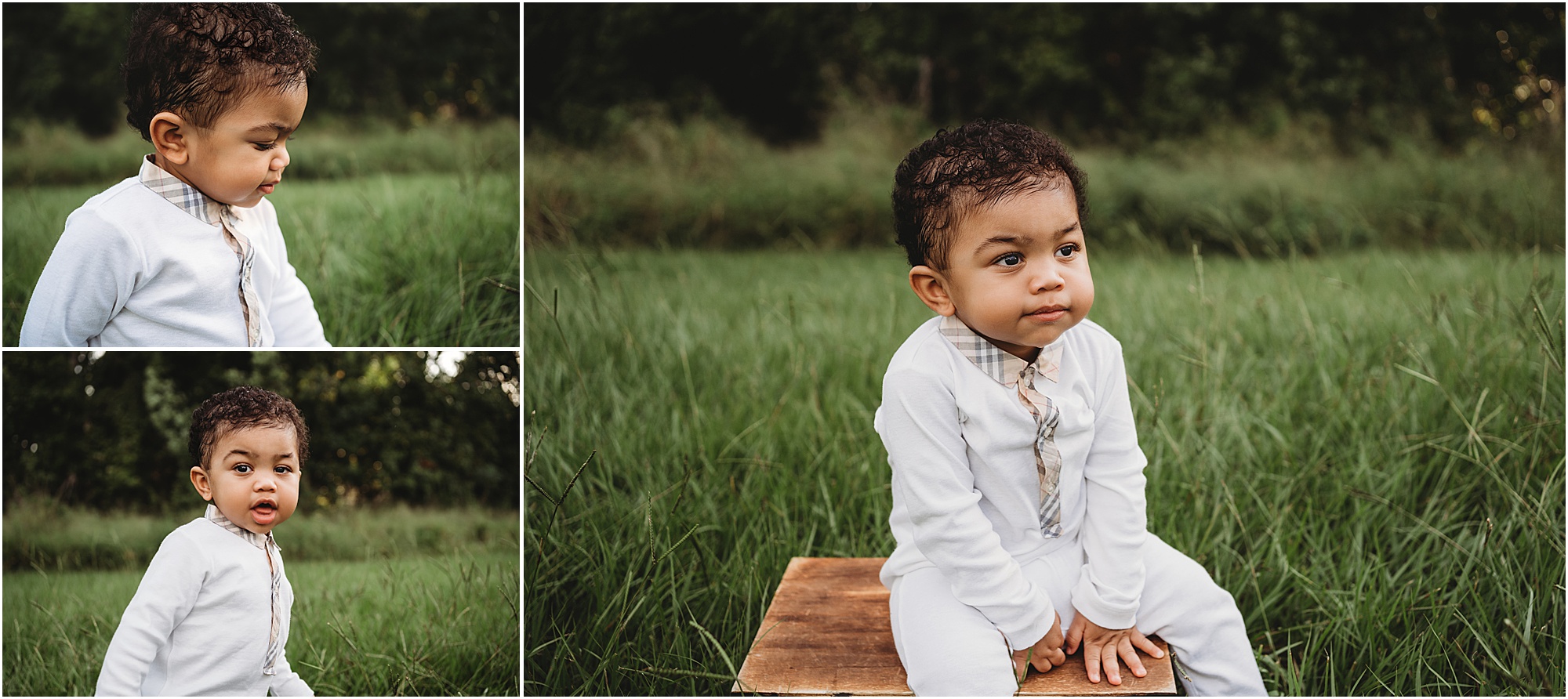 Wesley Chapel First Birthday Photographer