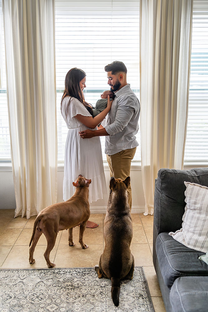 tampa maternity and newborn photographer