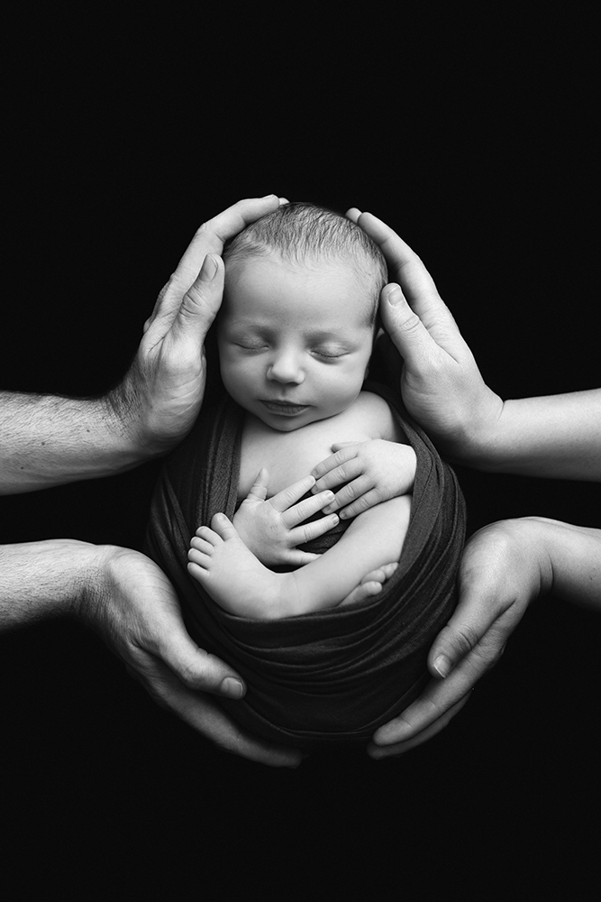 tampa maternity and newborn photographer