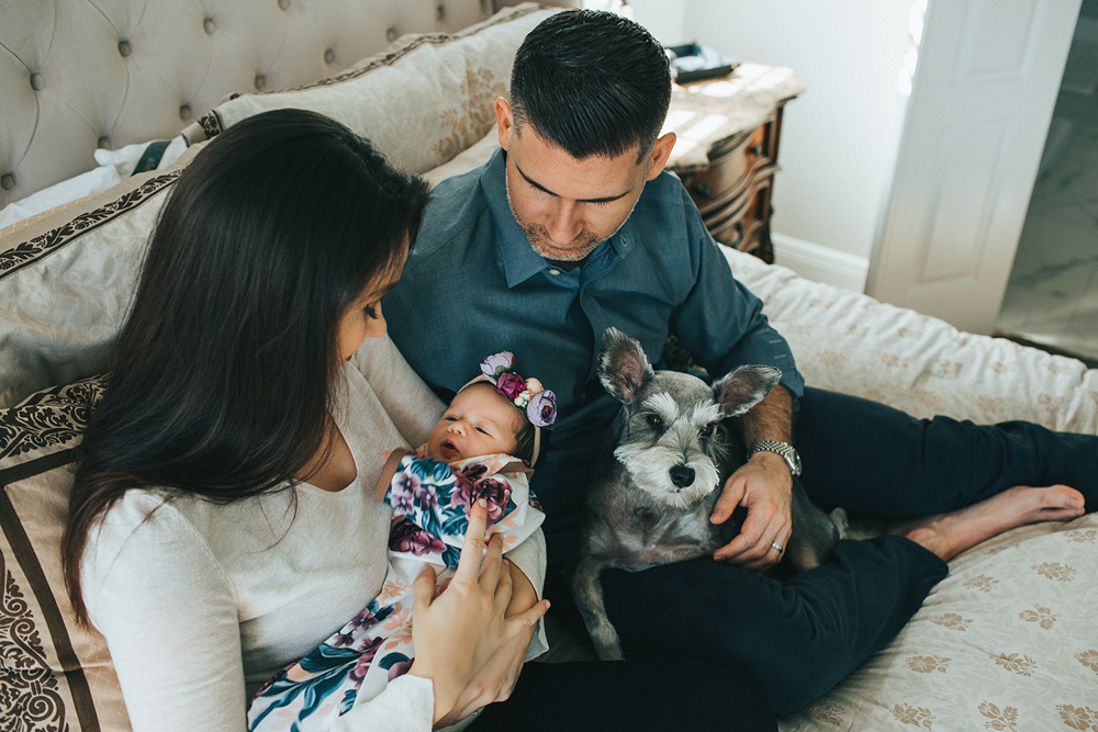 tampa and wesley chapel lifestyle in-home newborn photographer